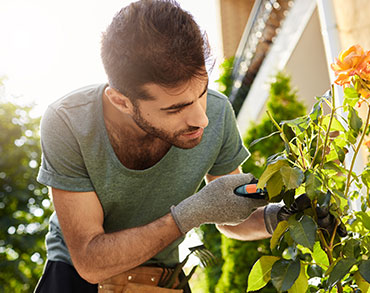 En nuestro jardín: plantas para zonas sombreadas