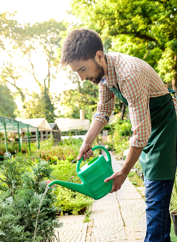 Jardinería Mexicana